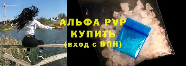 спайс Нея