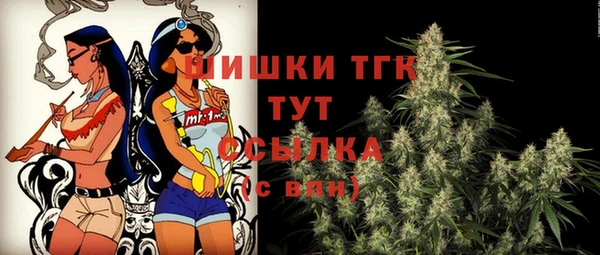 индика Нефтекумск