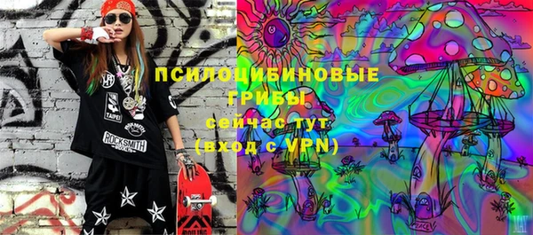 мдпв Нефтегорск