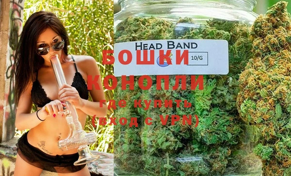спайс Нея