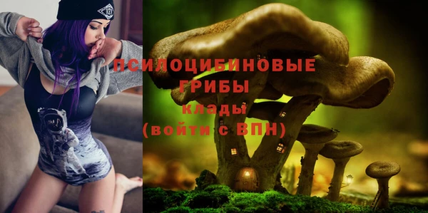 индика Нефтекумск