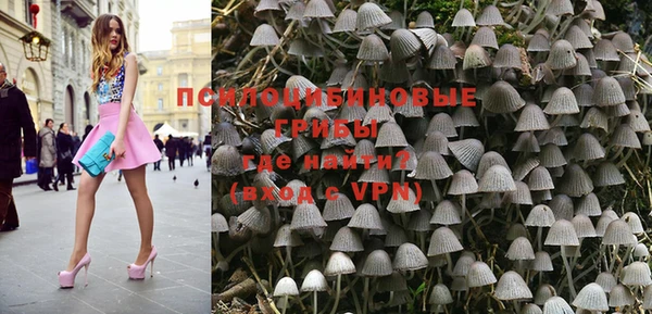 индика Нефтекумск